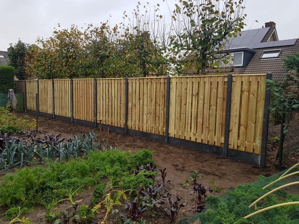 Grenen hout-beton schutting in een tuin