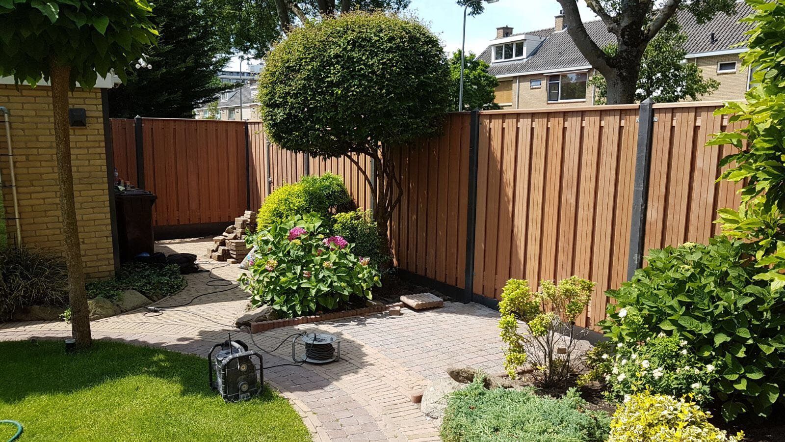 Douglas in een groene tuin